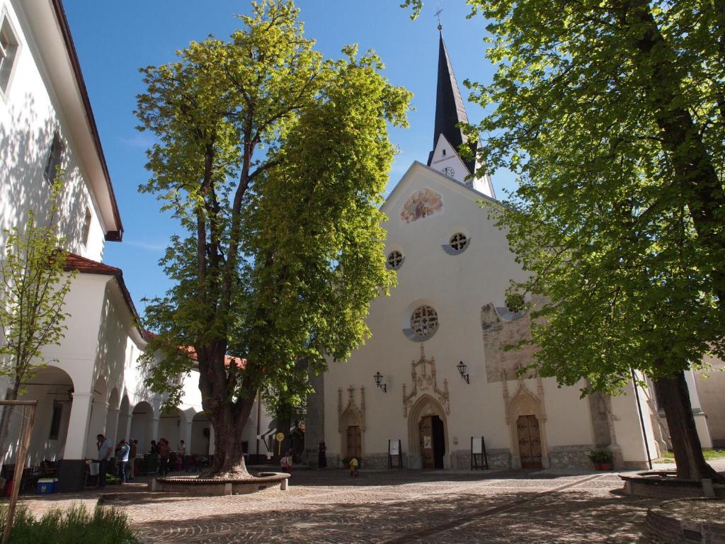 Kunstelj Pension Radovljica Exterior foto